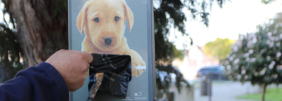 Use os sacos para recolha de dejetos caninos e ajude a manter a cidade limpa