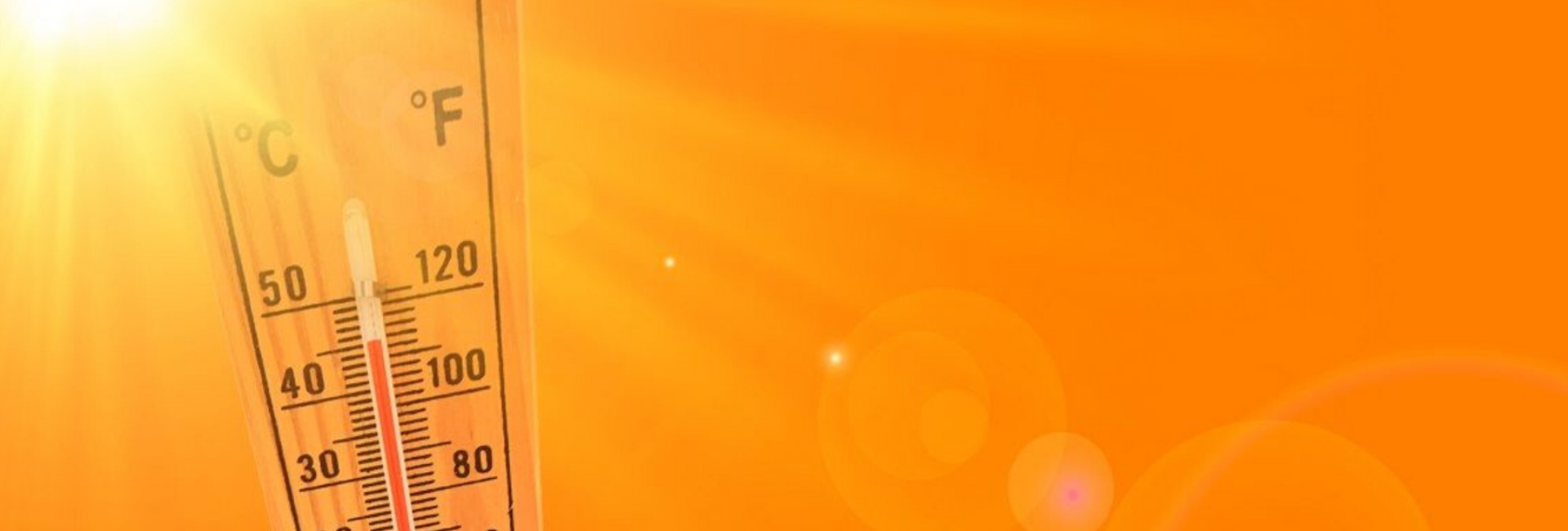 Site 1920x650