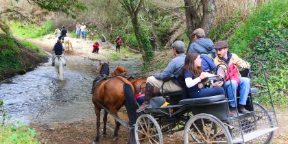 XXIV Romaria a Cavalo: Moita – Viana do Alentejo (passagem por Landeira)