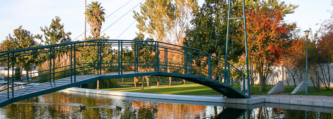 Início dos trabalhos de limpeza do lago jardim público