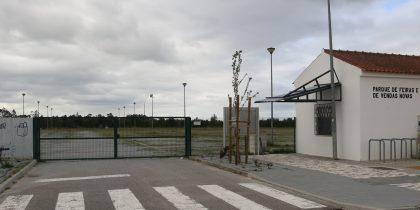 Mercado Mensal