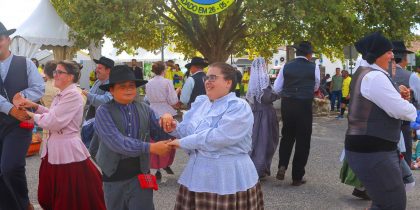 Festival de Folclore de São Martinho