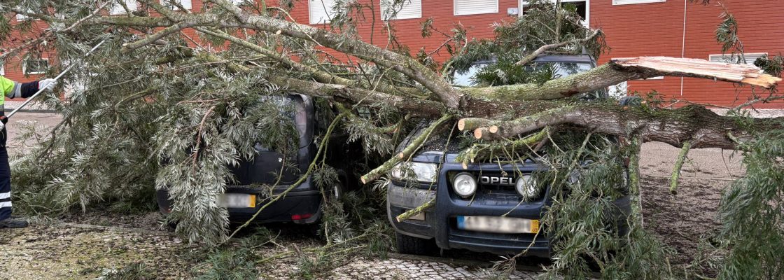 WhatsApp Image 2026-01-28 at 09.13.41