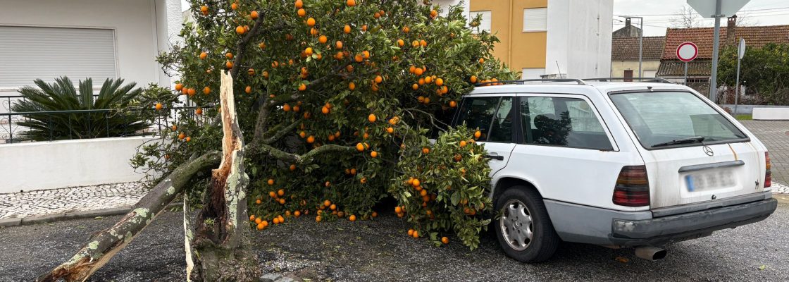 WhatsApp Image 2026-01-28 at 09.13.42 (4)