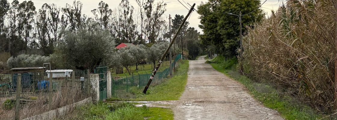 WhatsApp Image 2026-01-28 at 09.22.47