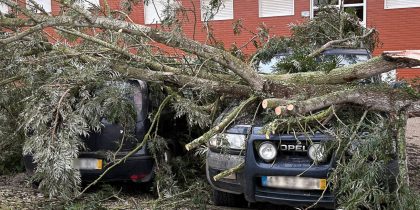 Mau tempo provocou ocorrências no concelho de Vendas Novas