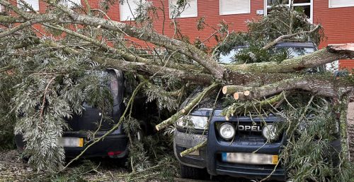 Mau tempo provocou ocorrências no concelho de Vendas Novas