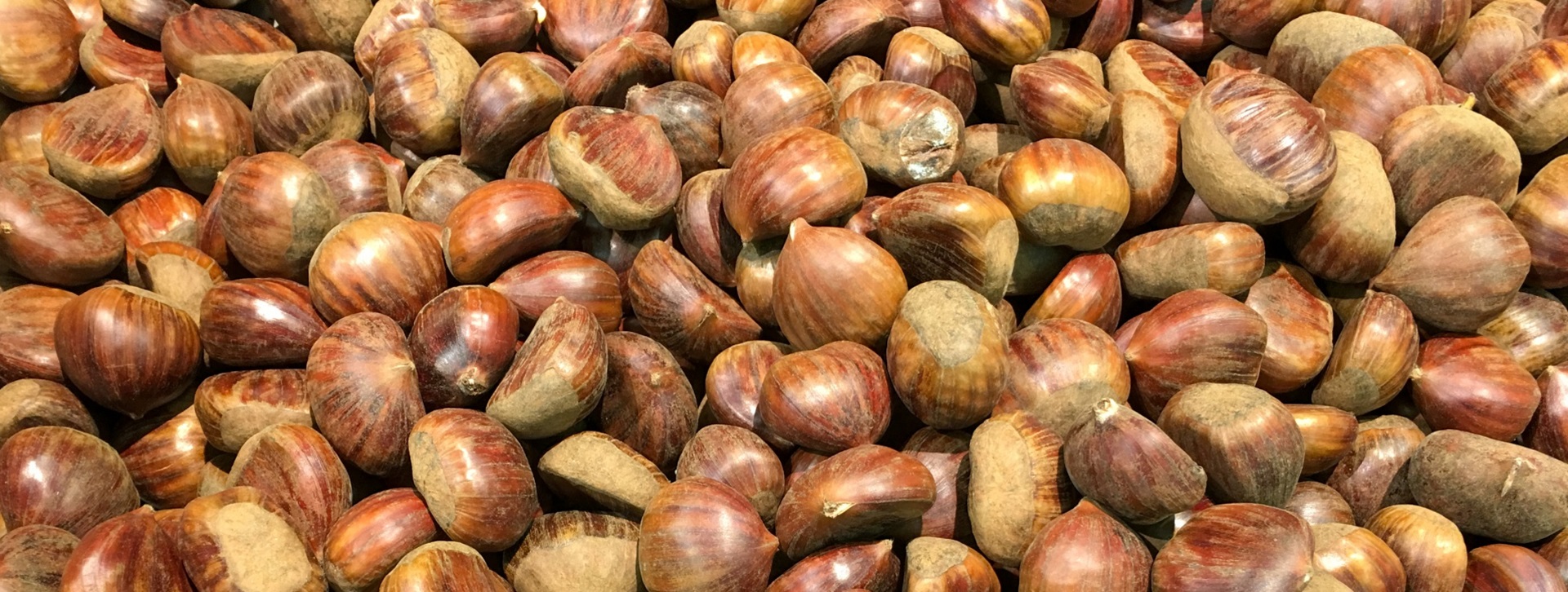 Anima Mercado – Magusto pelo Lar de Betânia