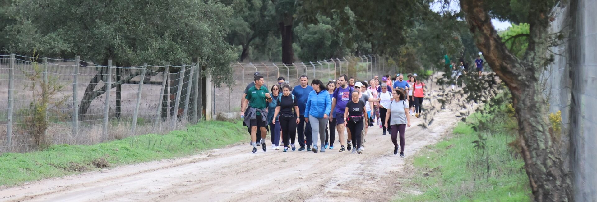 caminhada rota bifana